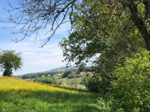 Paisible paysage avant