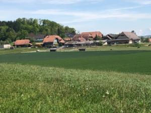 Vue de Rizenbach
