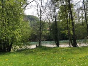 à Haselhof voici la Sarine,