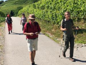 Déambulation dans 