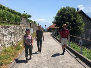 Sur le chemin du Lavaux-Express!