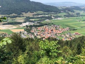 Le village de Grandvillard