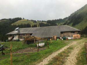 ..et le voici au chalet Fenils Derrey (1288)