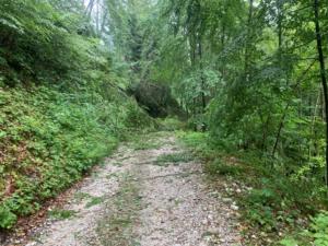 vers Grandvillard