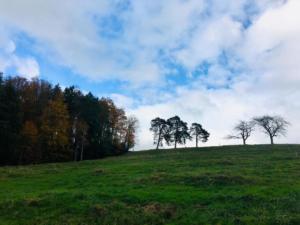Paysage vers La Correy