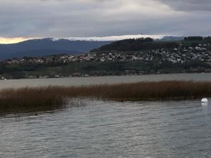 Vallamand de l'autre côté
