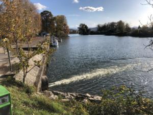 le long du lac de Morat.