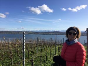 Petit parcours: Magnifique 