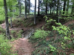Vers le haut de celle-ci