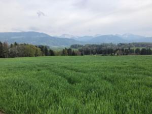 Vue vers les pré-alpes à