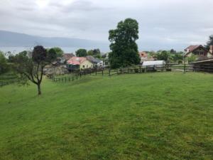 en passant par Châtillon