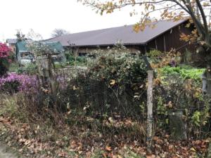 Wildbach