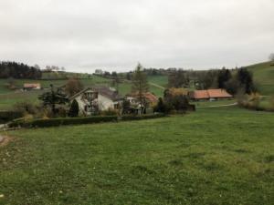 Lettiswil