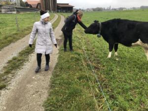 vers Lehwil 