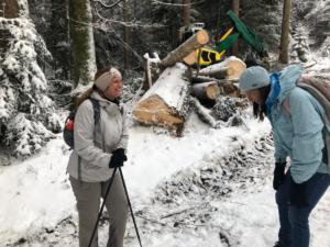 Machines et travaux dans la 