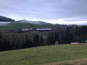 retour vers les beautés de