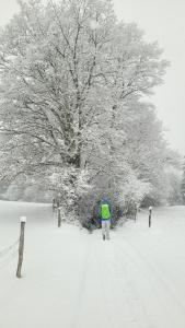 grande neige