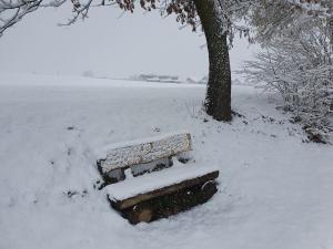 En-dessous du Marchet (Neyruz)