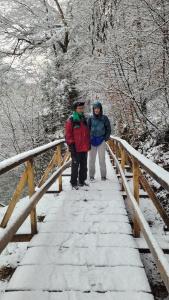 Forêt de la Quiou