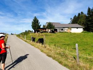 Altitude 1152 vers La Chaudereire