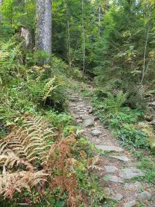 suivi du sentier vers La joux de l'Essert et