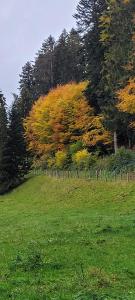 du Glèbe avec de magnifiques couleurs d'automne.