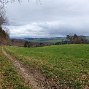 avec vue vers le Gibloux et sa tour.