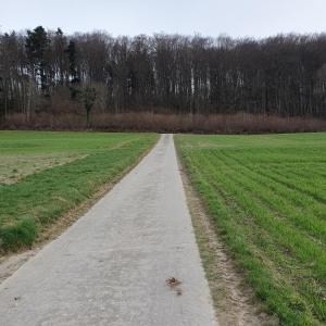 Pause sur le bord d'une gargouille