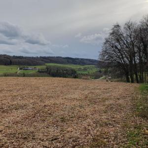Coumin-dessous à droite et à gauche Coumin-dessus