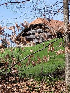 et une belle maison.
