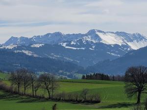 paysage vers