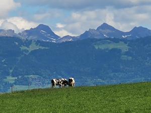 Les préalpes