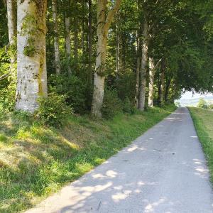 Pause vers la ferme