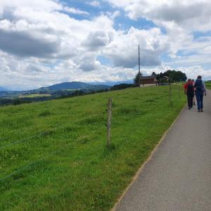 Sur les haut d'Auboranges