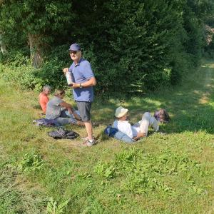 Pause vers la forêt de Fillistorfholz
