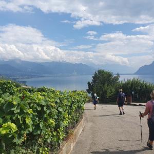 Le lavaux