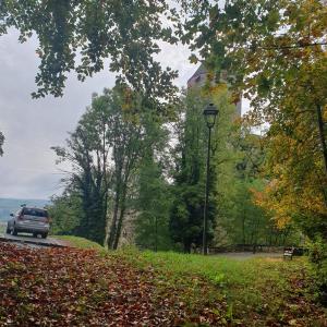 du château.
