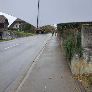 Murzelen