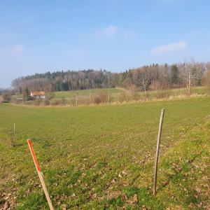 Lerchehubel (Biberen)