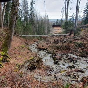 le Ruisseau du Pra Mory