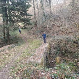 Sur le Ruisseau des Vaux, avant Lovatens