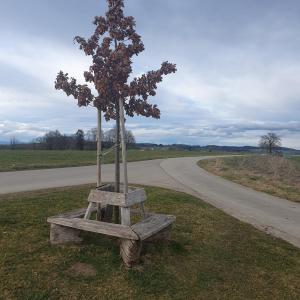 entre Grand Pra et Chésalles, retour à Drognens