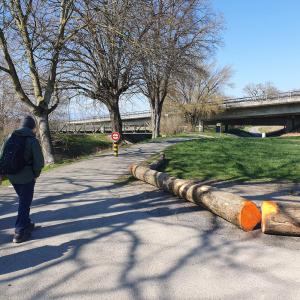 La passerelle vers