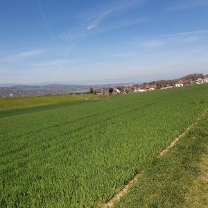 Les Granges de Dompierre