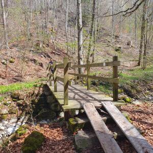 Sur le Ruisseau des Esserts