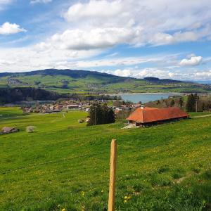 Gumefens