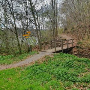 Arrivée au bord du lac