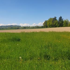 Le camping de Schiffenen