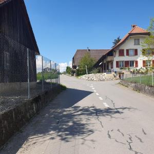 Schönenbühl