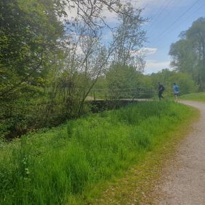 Passage du pont